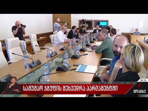 სამუშაო ჯგუფის შეხვედრა პარლამენტში